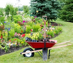 Entretien de jardin à Bernay